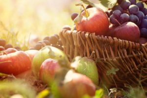 fruits, Food, Baskets, Light, Bloom