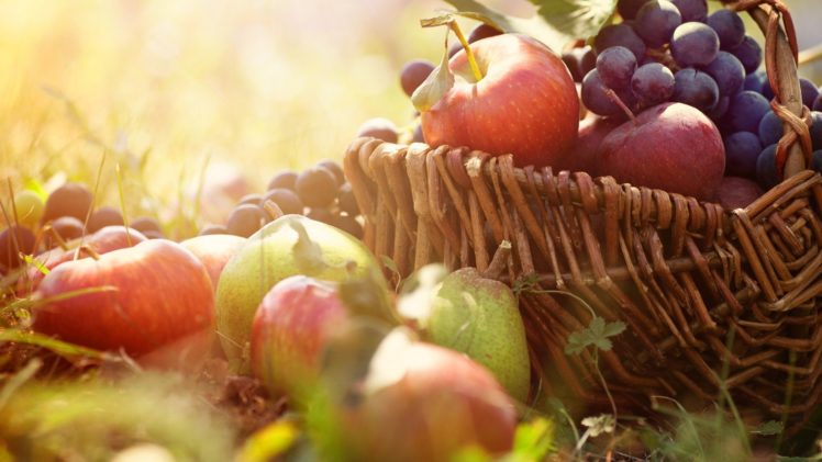 fruits, Food, Baskets, Light, Bloom HD Wallpaper Desktop Background