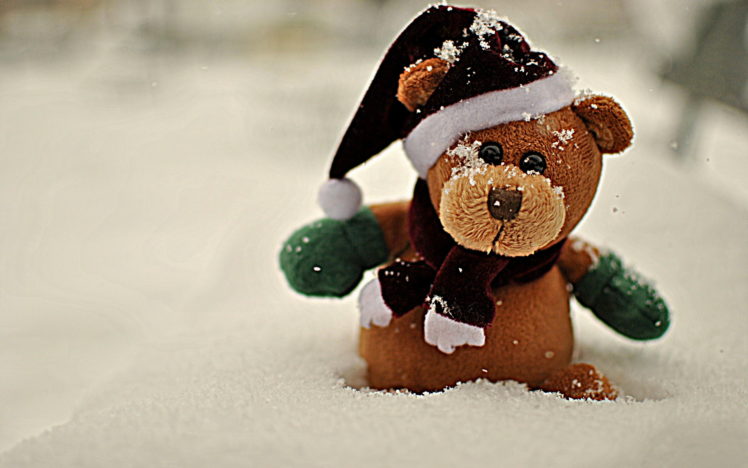 bear, Animals, Teddy, Teddy bear, Bokeh, Winter, Snow, Seasonal HD Wallpaper Desktop Background