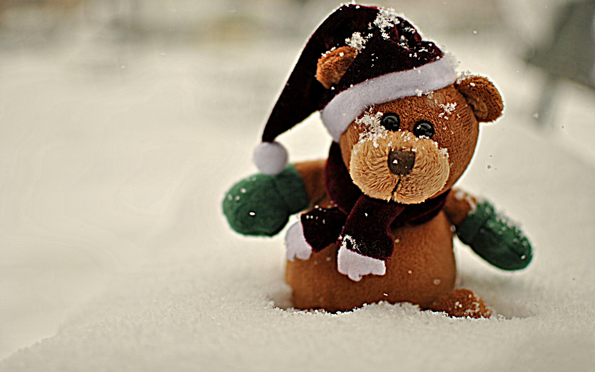 bear, Animals, Teddy, Teddy bear, Bokeh, Winter, Snow, Seasonal Wallpaper