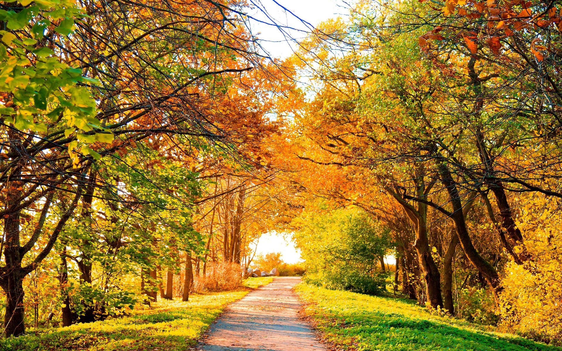 landscapes, Roads, Sunlight, Autumn, Fall, Colors, Seasons Wallpaper