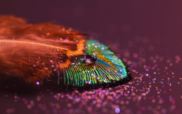 feathers, Colors, Artistic, Bokeh HD Wallpaper Desktop Background