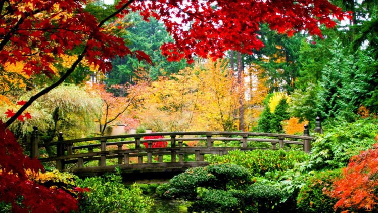 water, Nature, Trees, Autumn, Multicolor, Flowers, China, Leaves, Bridges, Plants, Rivers, Branches HD Wallpaper Desktop Background