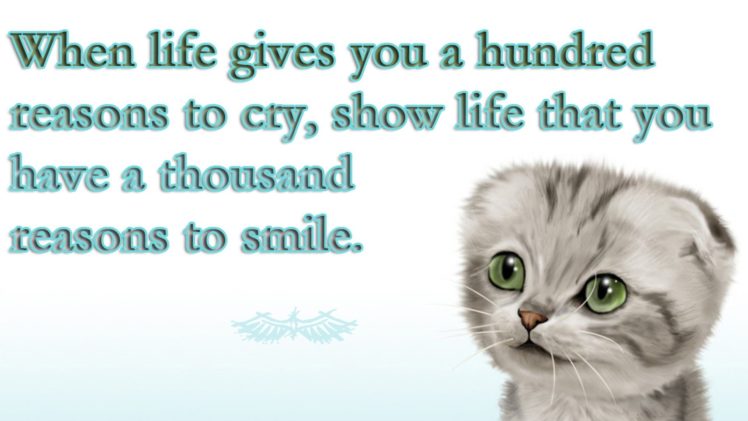 quotes, Drawn, Kittie, Motivational, Posters, Baby, Animals HD Wallpaper Desktop Background