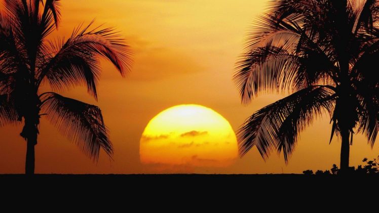 sunset, Old, Hawaii, Airports, Parks, Beaches HD Wallpaper Desktop Background