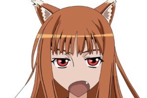 spice, And, Wolf, Animal, Ears, Holo, The, Wise, Wolf, Simple, Background