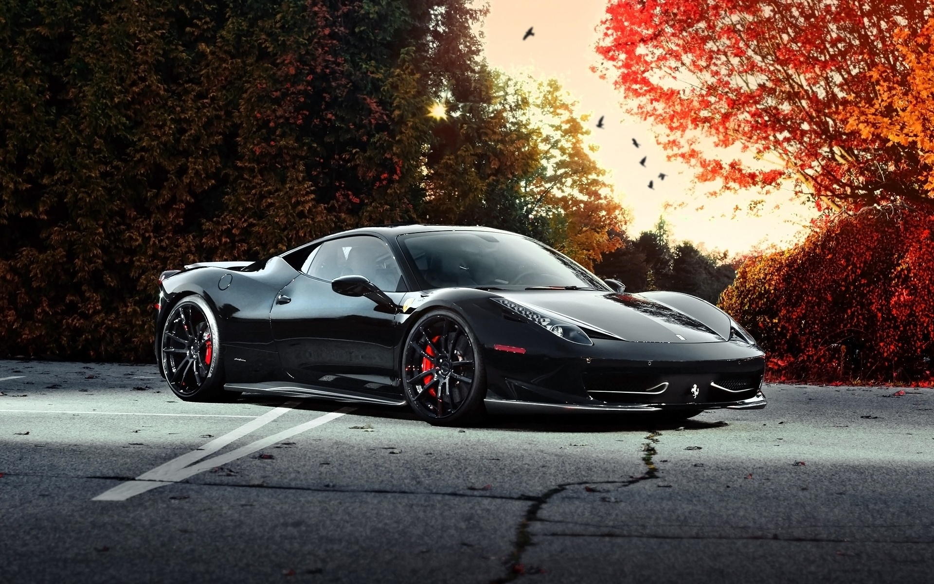 vehicles, Cars, Ferrari, Exotic, Supercar, Roads, Autumn, Fall, Trees Wallpaper