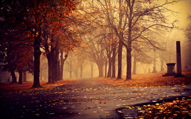 sidewalk, Path, Pathway, Park, Landscapes, Nature, Trees, Autumn, Fall, Seasons, Leaves, Fog, Mist, Haze HD Wallpaper Desktop Background