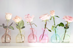 nature, Flowers, Vase, Glass, Colors, Still, Life, Petals