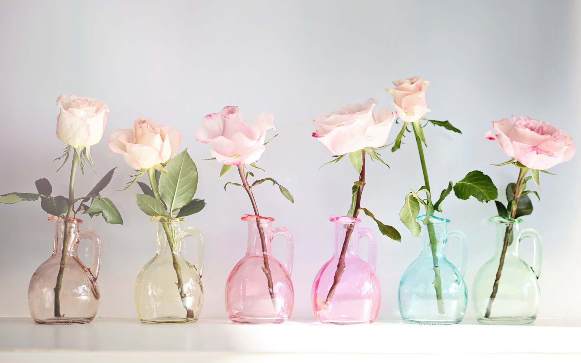 nature, Flowers, Vase, Glass, Colors, Still, Life, Petals Wallpaper