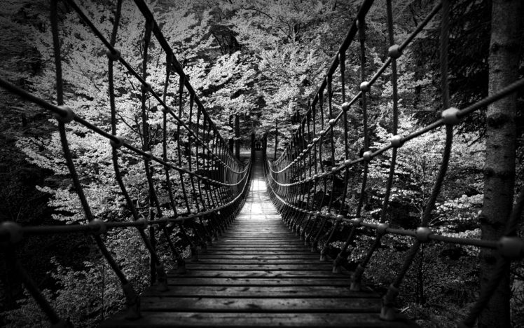 monochrome, Black, White, B w, Landscapes, Nature, Wood, Rope, Scary, Bridges, Trees, Forest, Photography, Architecture HD Wallpaper Desktop Background