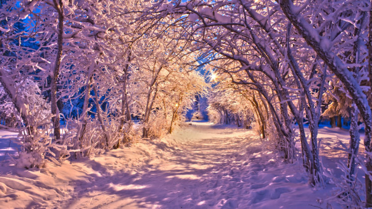 nature, Landscapes, Winter, Snow, Christmas, Sidewalk, Roads, Lights, White, Trees HD Wallpaper Desktop Background