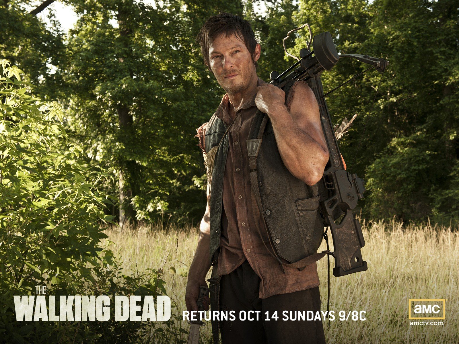 movies, Walking, Dead, The, Walking, Dead, Norman, Reedus, Daryl, Dixon Wallpaper