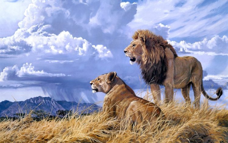 animals, Cats, Lion, Painting, Art, Landscape, Nature, Wildlife, Africa,  Grass, Predator, Couple, Love, Sky, Clouds, Rain, Weather Wallpapers HD /  Desktop and Mobile Backgrounds