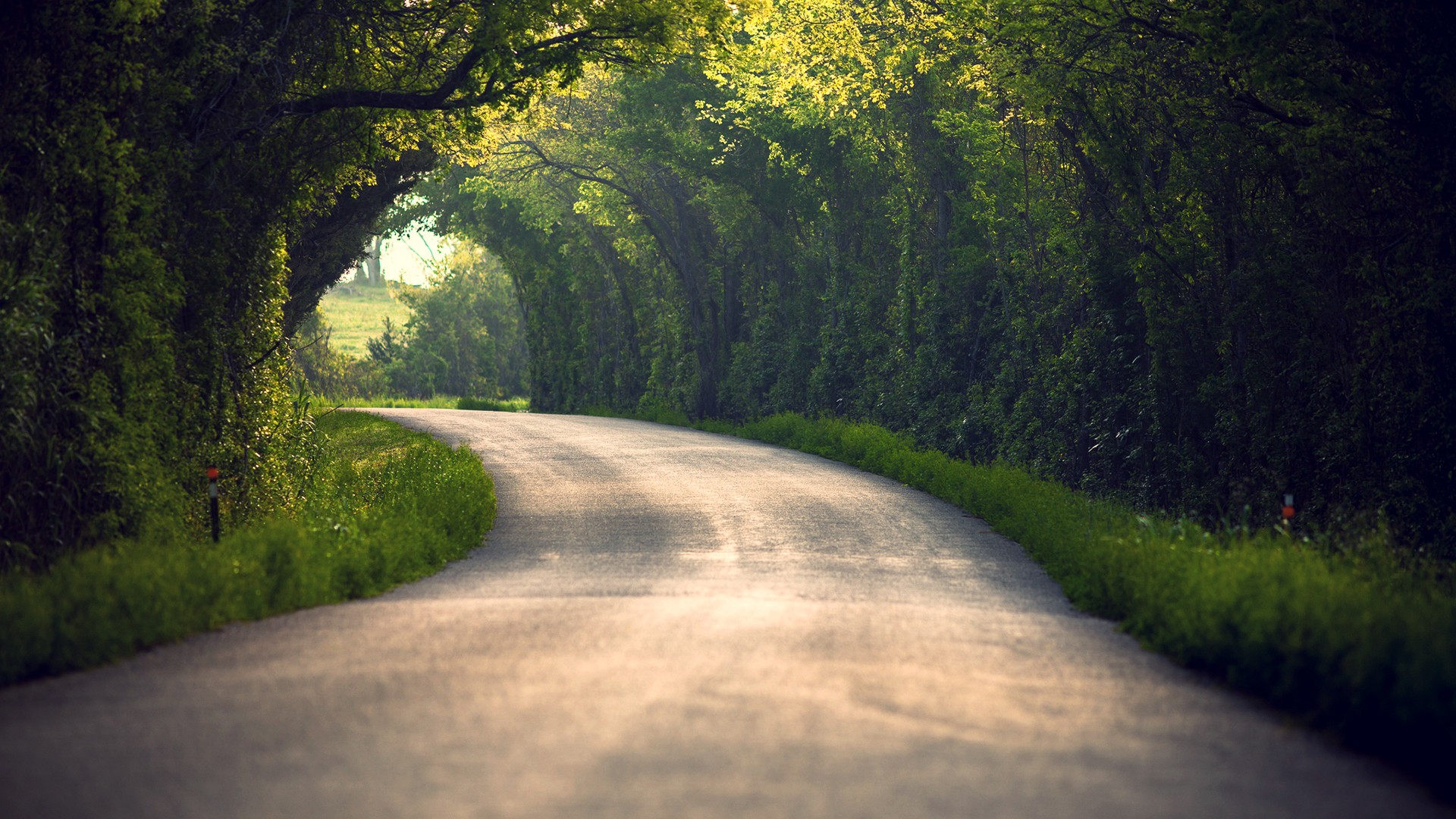 landscapes, Nature, Roads, Wet, Trees, Green, Spring, Sunlight, Reflection, Shine, Seasons Wallpaper