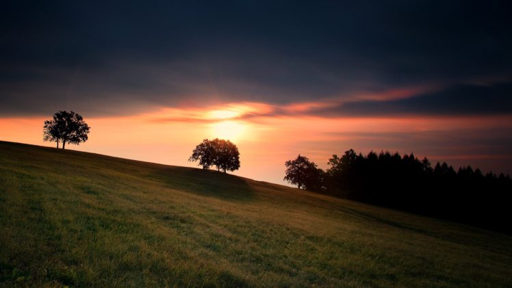 nature, Landscapes, Fields, Grass, Sunset, Sunrise, Sky, Clouds, Sunlight, Trees, Colors HD Wallpaper Desktop Background