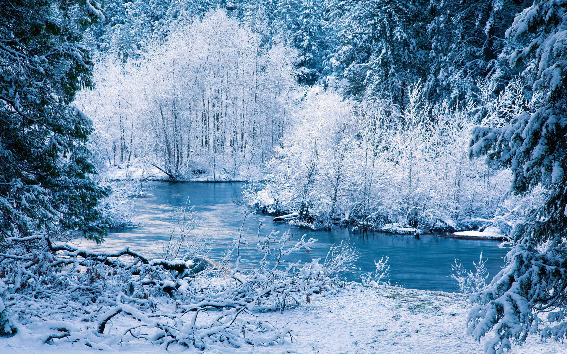 nature, Landscapes, Winter, Snow, Frost, Rivers, Shore, Trees, Forest, Seasonal Wallpaper