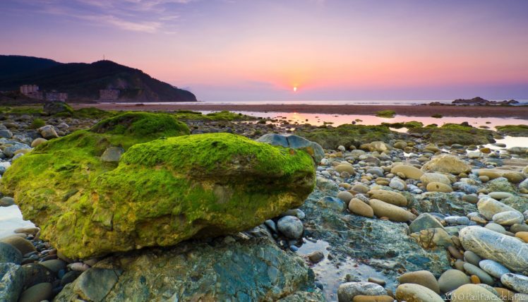 morning, Stones, Seaweed, Sea, Stone HD Wallpaper Desktop Background
