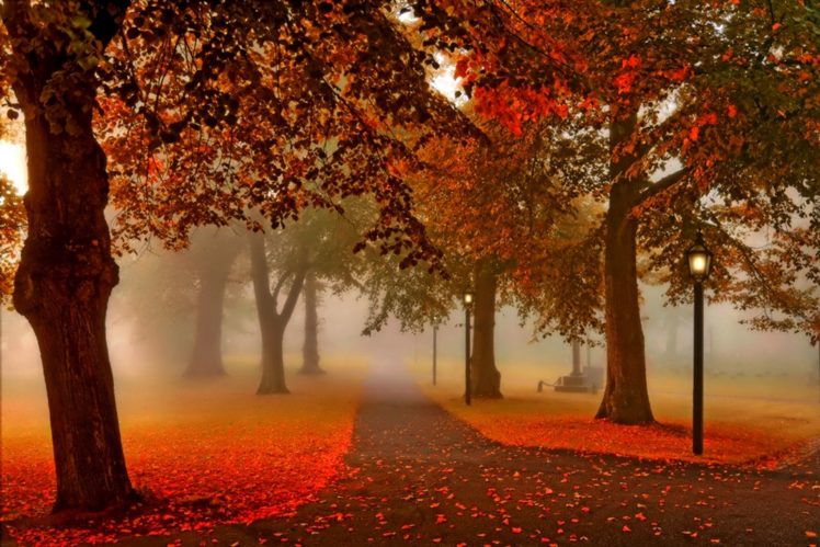 sunset, Nature, Park, Autumn, Lantern HD Wallpaper Desktop Background