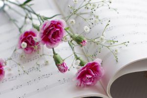 music, Notes, Book, Paper, Pages, Classic, Bokeh, Flowers, Art, Photography, Still, Life