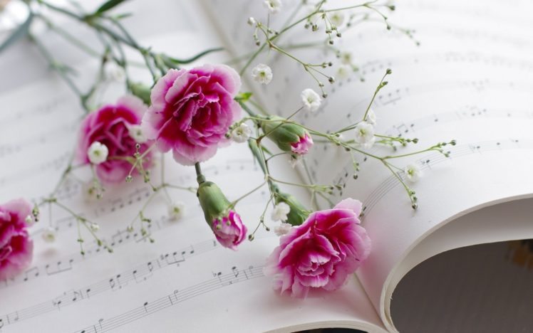 music, Notes, Book, Paper, Pages, Classic, Bokeh, Flowers, Art, Photography, Still, Life HD Wallpaper Desktop Background