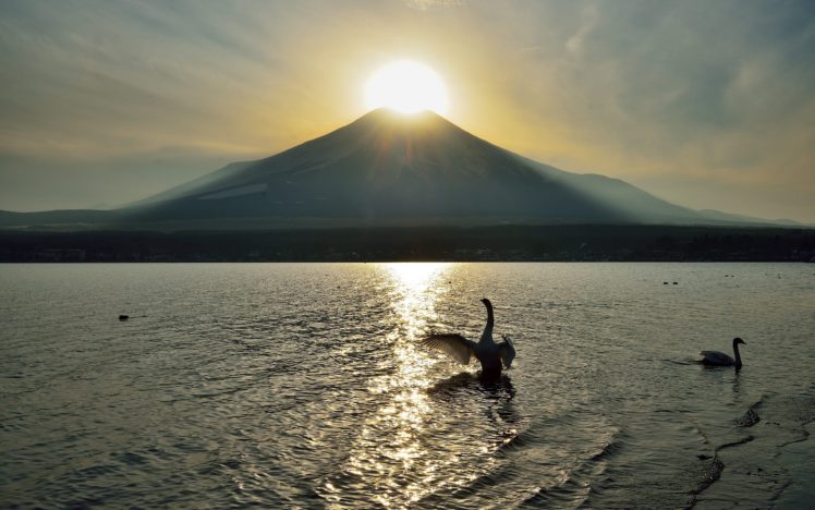 mountain, Landscape, Swan, Bird, Sunlight, Lake HD Wallpaper Desktop Background