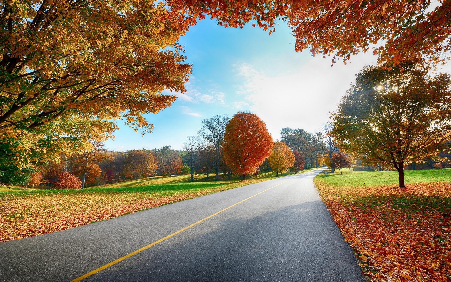 nature, Landscapes, Roads, Trees, Leaves, Autumn, Fall, Seasons, Colors, Sky, Clouds, Sunlight Wallpaper