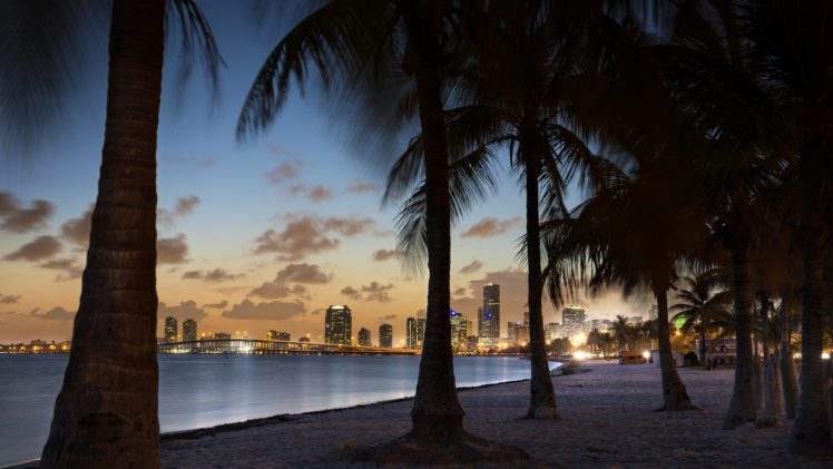 tropical, Buildings, Skyscrapers, Palm, Trees, Beach, Ocean HD Wallpaper Desktop Background