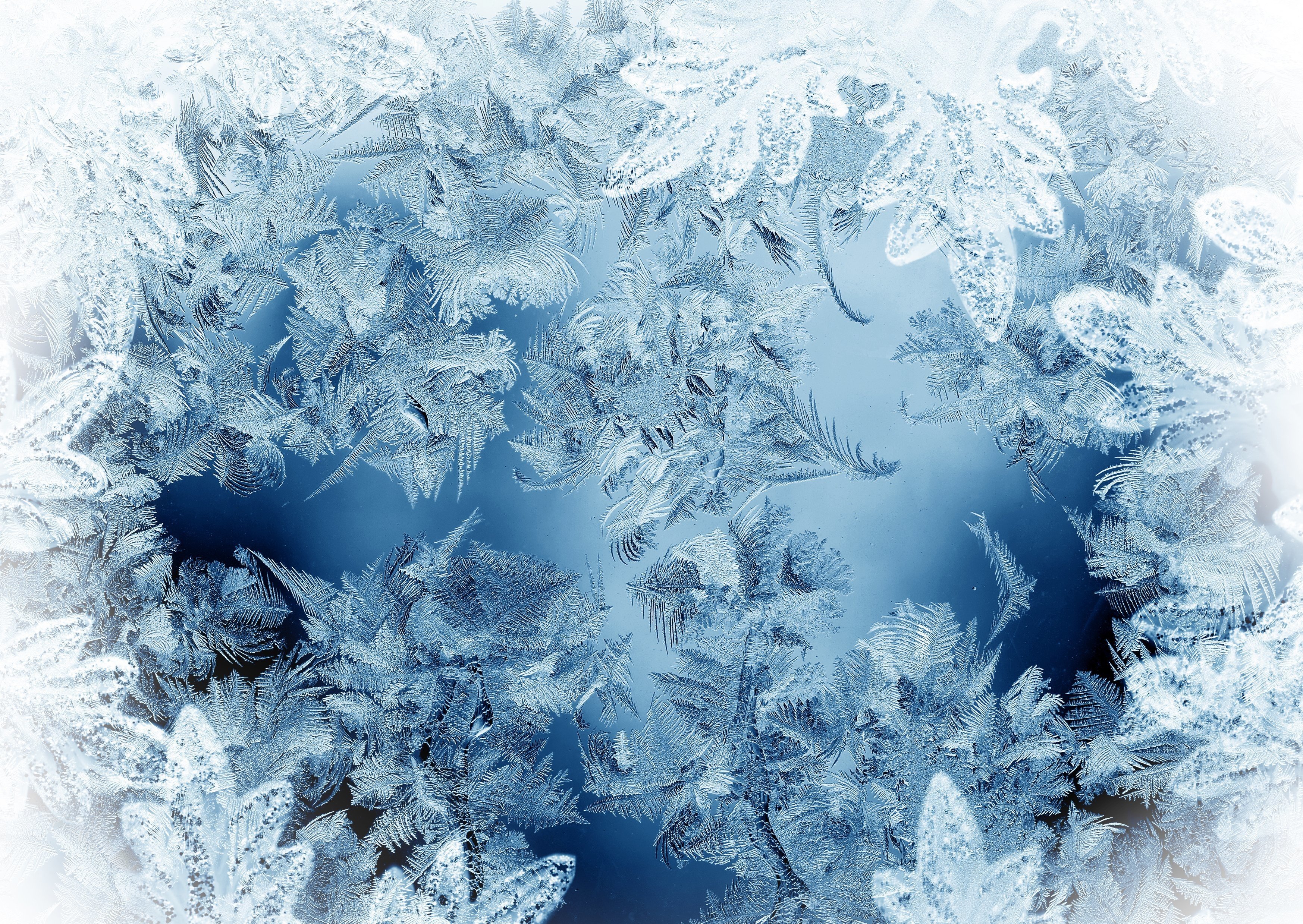 pattern, Ice, Texture, Texture, Frost, Winter, Christmas Wallpaper