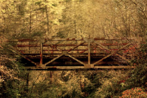 trestle, Rust, Frame, Bridges, Architecture, Structure, Tracks, Railroad, Roads, Path, Metal, Steel, Nature, Trees, Forest, Leaves, Scenic