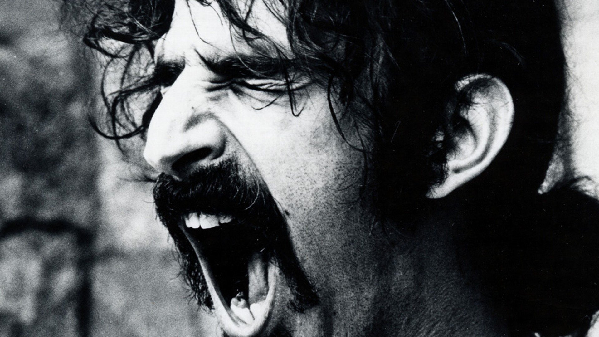 frank, Zappa, Monochrome Wallpaper