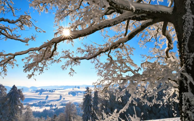 nature, Landscapes, Trees, Scenic, View, Winter, Snow, Seasons, Mountains, Hills, Cold, Fields, Sky, Sun, Sunlight, Bark HD Wallpaper Desktop Background