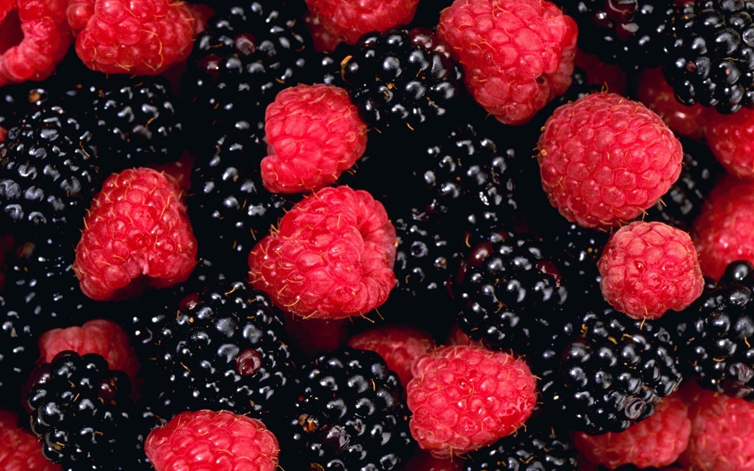 fruits, Raspberries, Blackberries Wallpaper