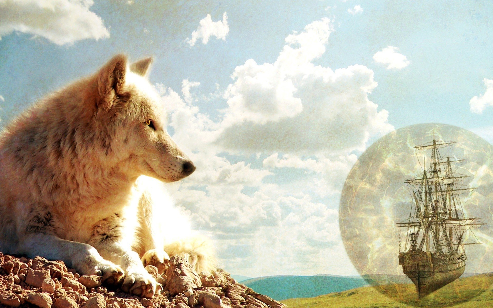 Планета земля и Мудрый волк