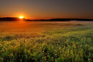sunrise, Over, The, Field