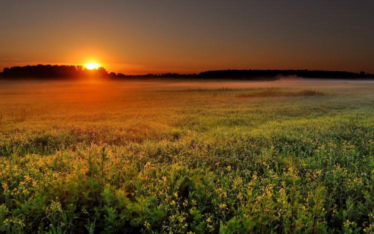 sunrise, Over, The, Field HD Wallpaper Desktop Background