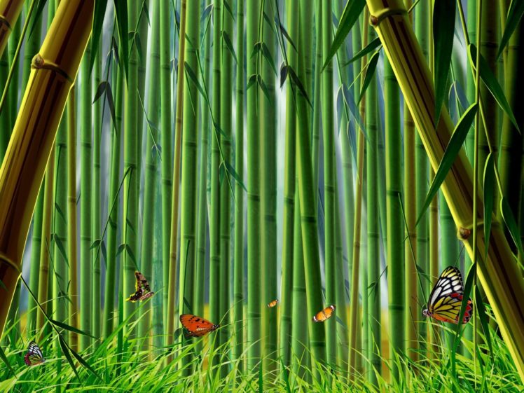 nature, Forests, Bamboo, Butterflies HD Wallpaper Desktop Background