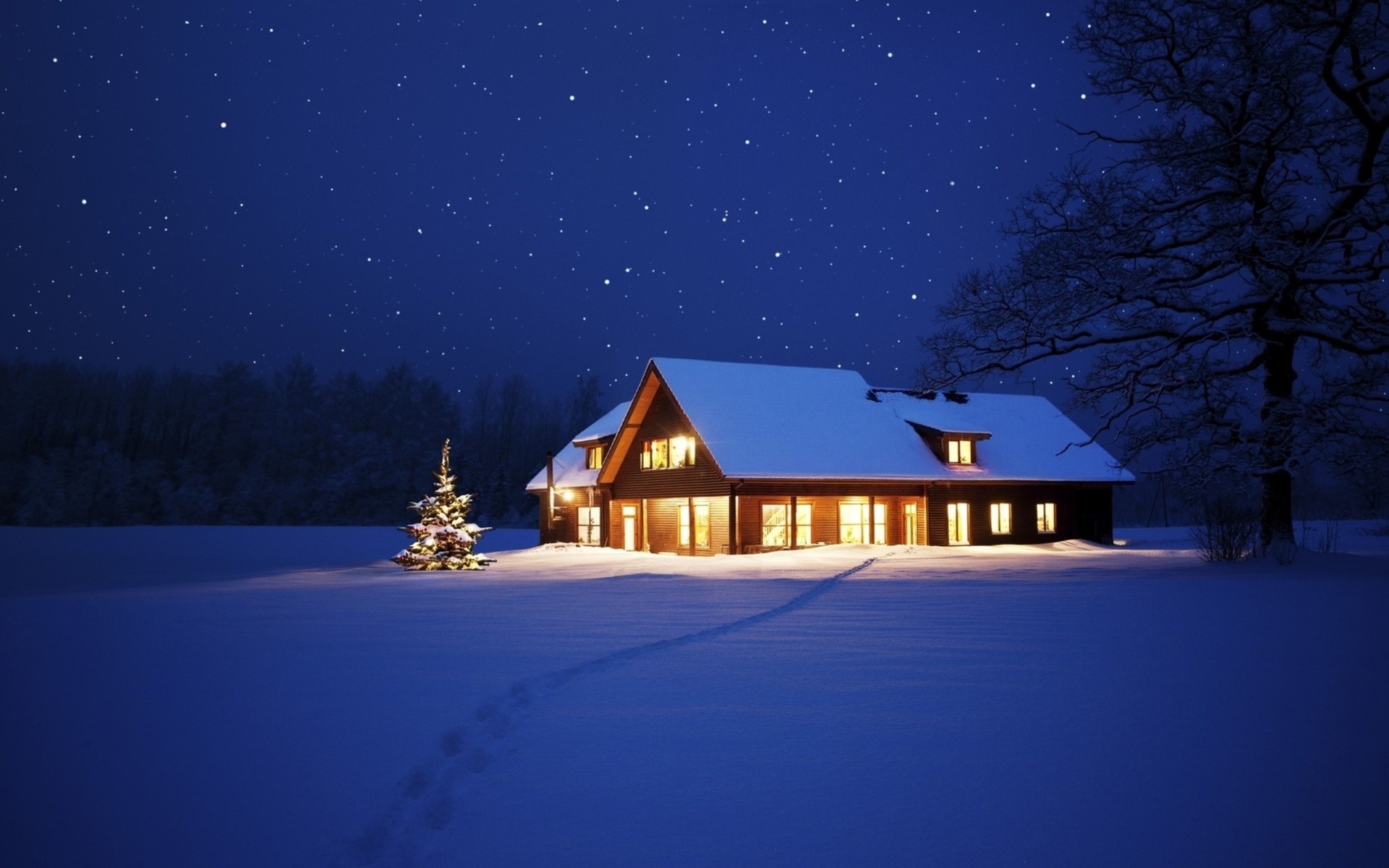 holidays, Christmas, Seasonal, Winter, Snow, Night, Lights, Seasons, Seasonal, Stars, Nature, Sky, Trees, Tracks, Path Wallpaper
