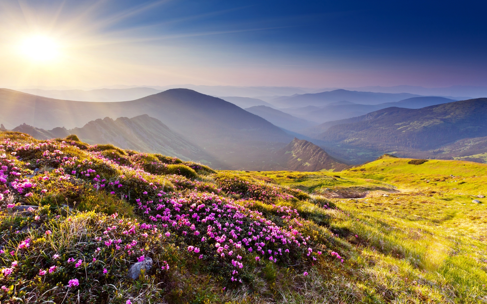 nature, Landscapes, Mountains, Hills, Plants, Flowers, Grass, Meadow, Scenic, Haze, Sun, Sunlight, Sky, View Wallpaper