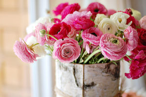 still, Life, Bouquets, Nature, Flowers, Color, Pink, Vase, Bowl, Macro, Soft, Bokeh, Window