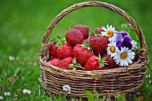flowers, Grass, Spring, Strawberries, Baskets