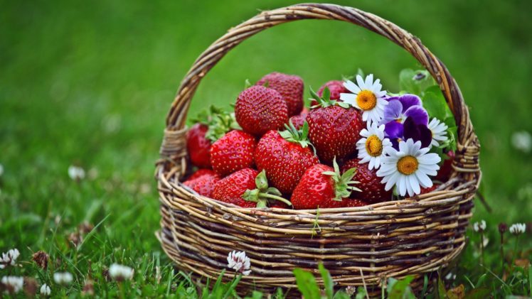 flowers, Grass, Spring, Strawberries, Baskets HD Wallpaper Desktop Background
