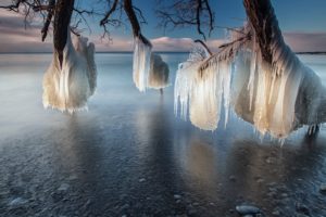 ice, Landscapes, Nature, Trees, Frozen, Canada, National, Geographic, Lakes, Ontario