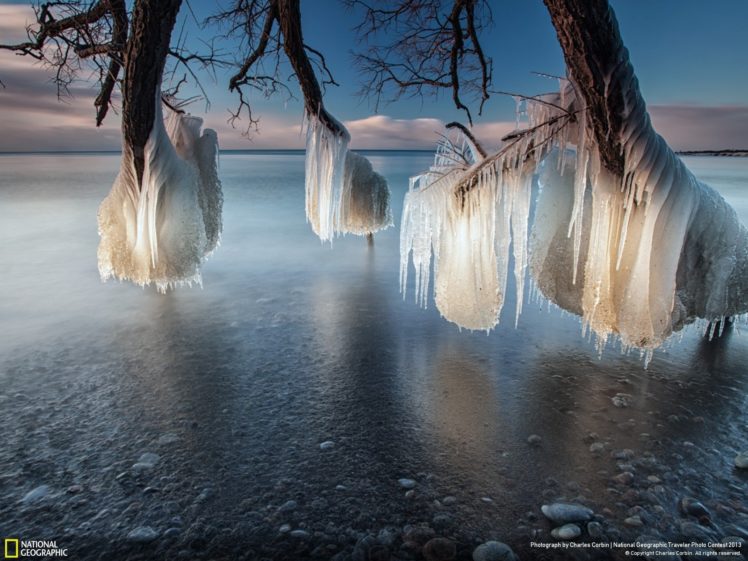 ice, Landscapes, Nature, Trees, Frozen, Canada, National, Geographic, Lakes, Ontario HD Wallpaper Desktop Background