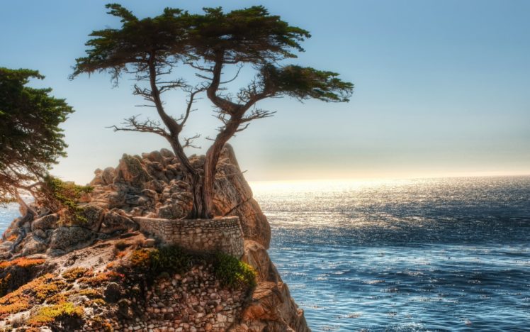 ocean, Landscapes, Nature, Coast, Trees, Cliffs, Artwork, Sea HD Wallpaper Desktop Background