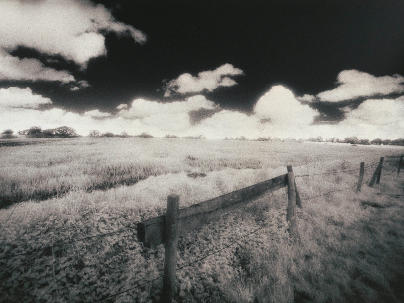 clouds, Fences, Fields, Outdoors, Monochrome, Farms Wallpaper