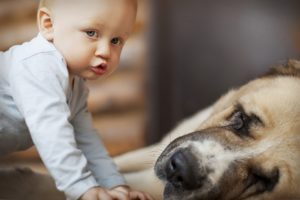 people, Babies, Children, Cute, Photography, Mood, Emotion, Friends, Animals, Dogs, Love, Fur, Face, Eyes, Expression