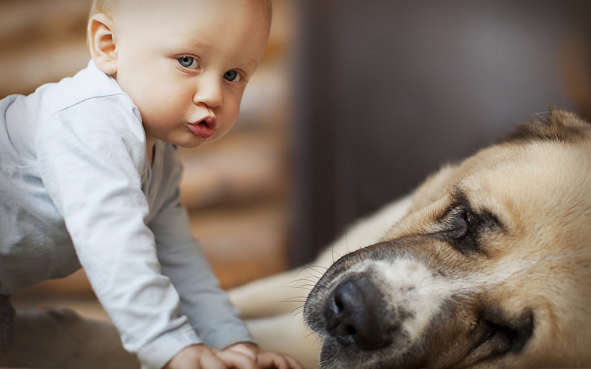 people, Babies, Children, Cute, Photography, Mood, Emotion, Friends, Animals, Dogs, Love, Fur, Face, Eyes, Expression Wallpaper