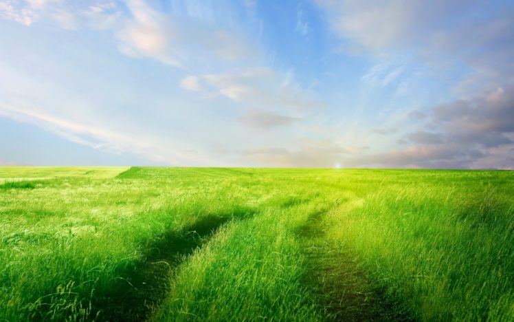 clouds, Landscapes, Nature, Grass, Fields HD Wallpaper Desktop Background
