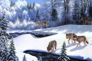 robert, A, Richert, On, The, Prowl, Art, Paintings, Oil, Nature, Landscapes, Forest, Trees, Winter, Snow, Seasons, Rivers, Streams, Water, Scenic, Bright, White, Wildlife, Predators, Animals, Wolf, Wolves, Cold,